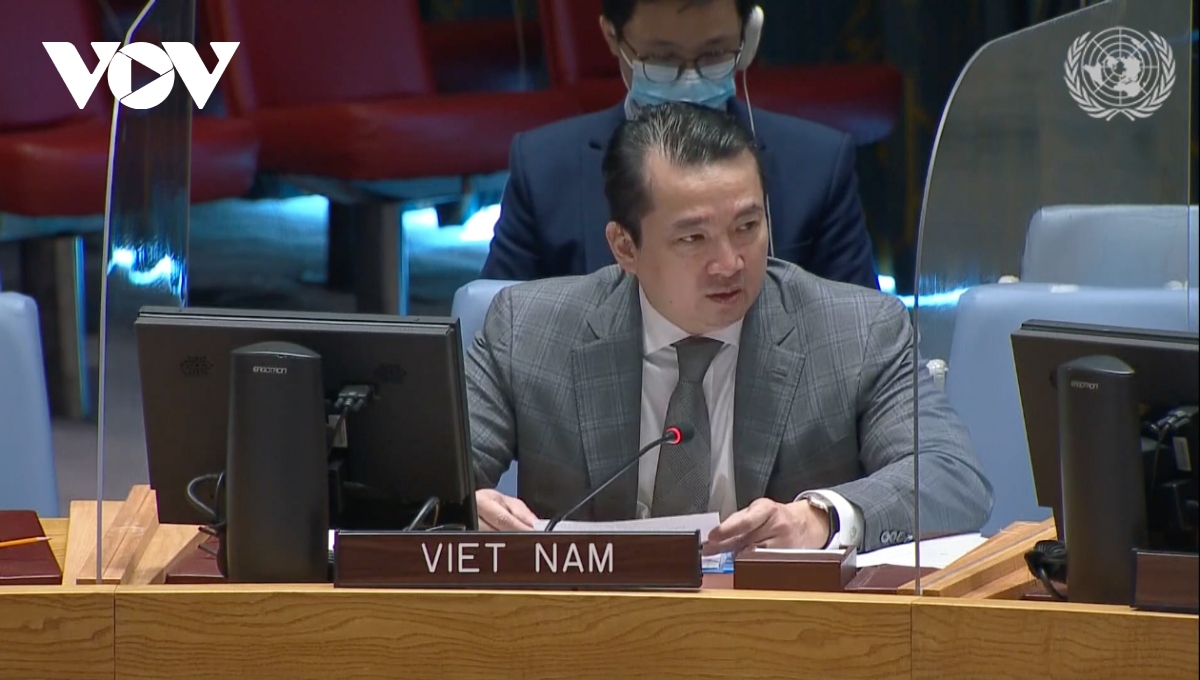 Vietnam attends UNSC meeting on Central Africa region